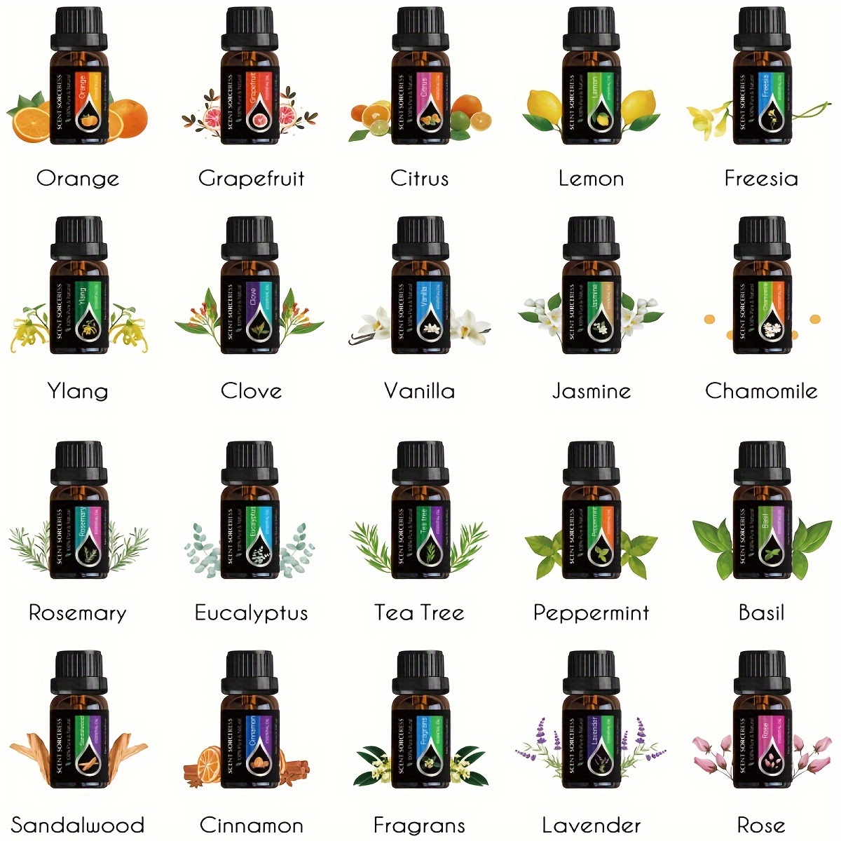 20pcs/set Essential Oil Set La - đánh giá và giá Perfume Fragrance Oil