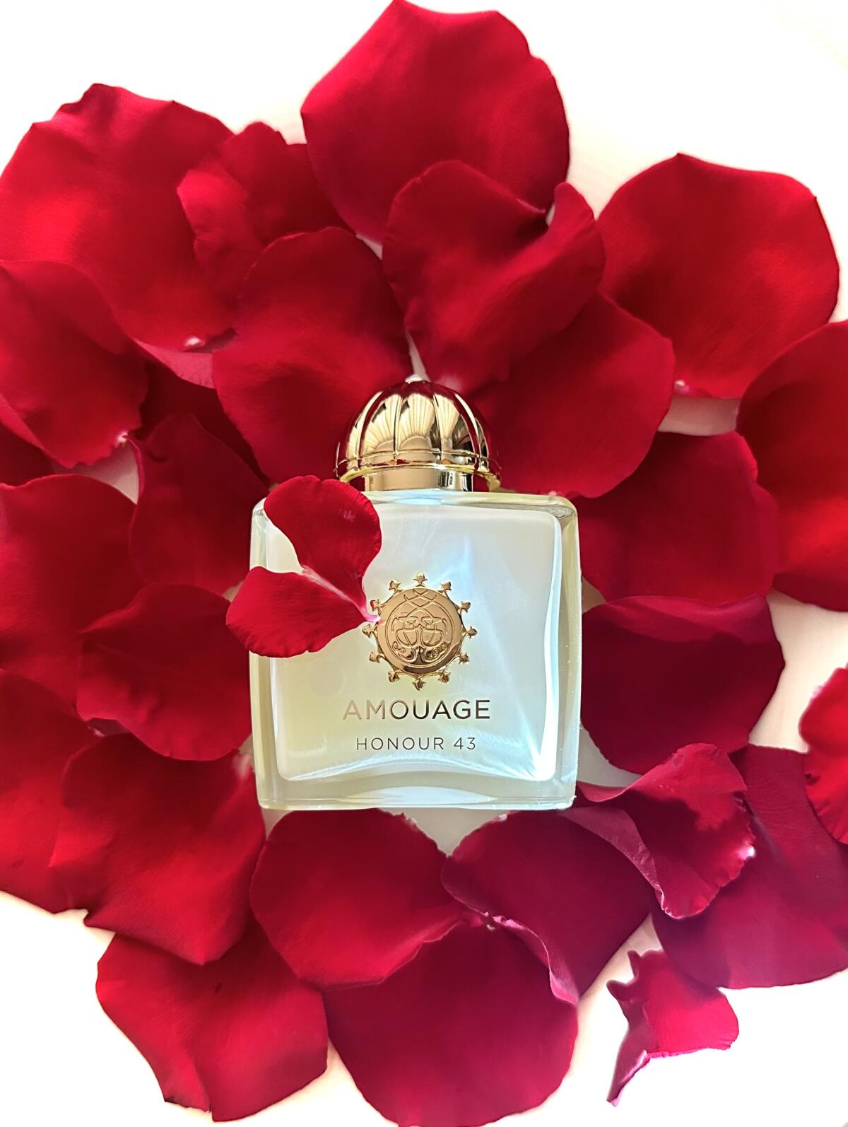 OUT OF STOCK - PLEASE DO NOT O - đánh giá và giá Perfume Fragrance Families